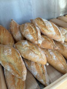 WhatsApp Image 2024-10-19 at 08.56.19