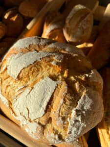 WhatsApp Image 2024-10-26 at 10.13.21