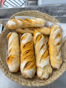 WhatsApp Image 2024-10-28 at 07.08.13 (1)